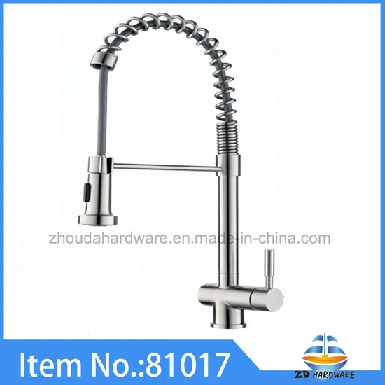 Zd Stainless Steel Finish Sink Faucet with 14mm Specification