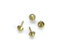 Decorative Nails for Sofa