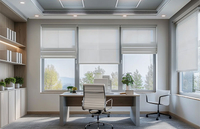  Customized Aluminum for Office and Commercial Spaces 